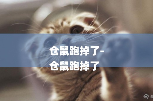 倉鼠跑掉了-
倉鼠跑掉了