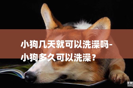 小狗幾天就可以洗澡嗎-
小狗多久可以洗澡？