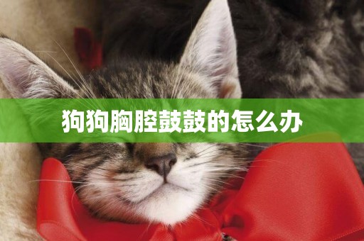狗狗胸腔鼓鼓的怎么辦