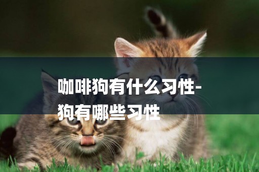 咖啡狗有什么習性-
狗有哪些習性