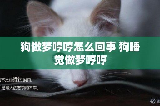 狗做夢哼哼怎么回事 狗睡覺做夢哼哼