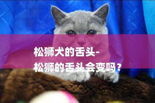 松獅犬的舌頭-
松獅的舌頭會變嗎？