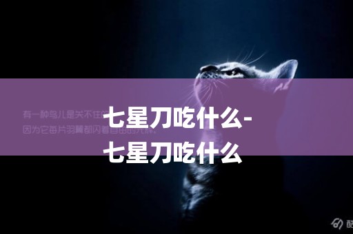 七星刀吃什么-
七星刀吃什么