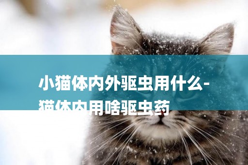 小貓體內外驅蟲用什么-
貓體內用啥驅蟲藥