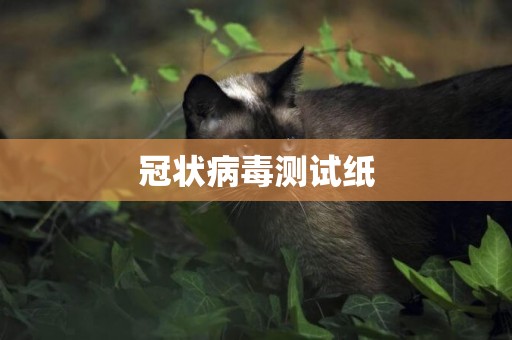 冠狀病毒測試紙