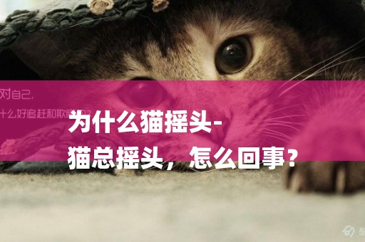 為什么貓搖頭-
貓總搖頭，怎么回事？