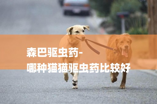 森巴驅蟲藥-
哪種貓貓驅蟲藥比較好