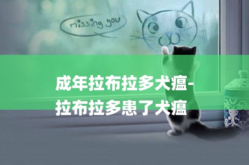 成年拉布拉多犬瘟-
拉布拉多患了犬瘟