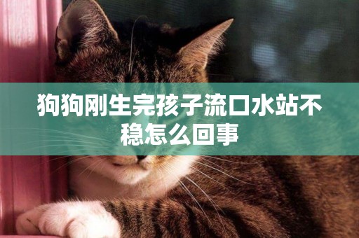 狗狗剛生完孩子流口水站不穩怎么回事