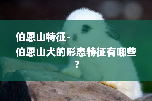 伯恩山特征-
伯恩山犬的形態特征有哪些？