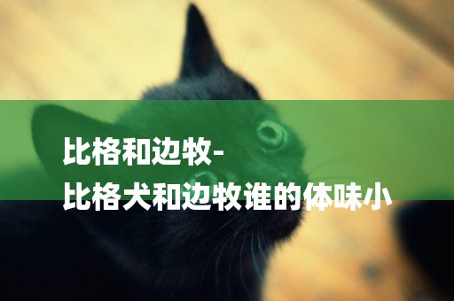 比格和邊牧-
比格犬和邊牧誰的體味小