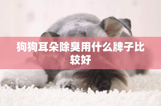 狗狗耳朵除臭用什么牌子比較好