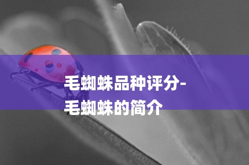 毛蜘蛛品種評分-
毛蜘蛛的簡介