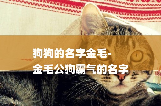 狗狗的名字金毛-
金毛公狗霸氣的名字