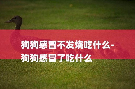 狗狗感冒不發燒吃什么-
狗狗感冒了吃什么