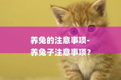 養兔的注意事項-
養兔子注意事項？