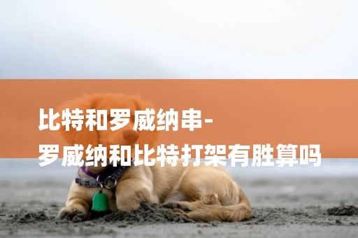 比特和羅威納串-
羅威納和比特打架有勝算嗎