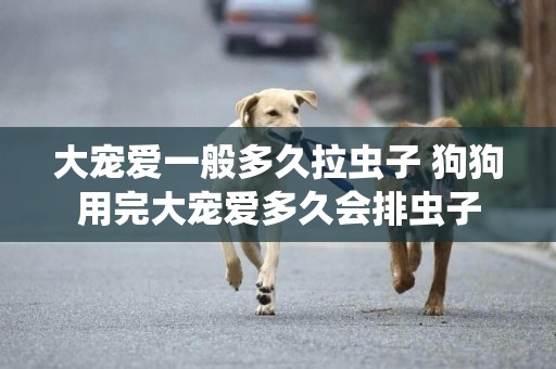 大寵愛一般多久拉蟲子 狗狗用完大寵愛多久會排蟲子