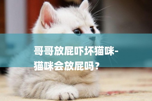 哥哥放屁嚇壞貓咪-
貓咪會放屁嗎？