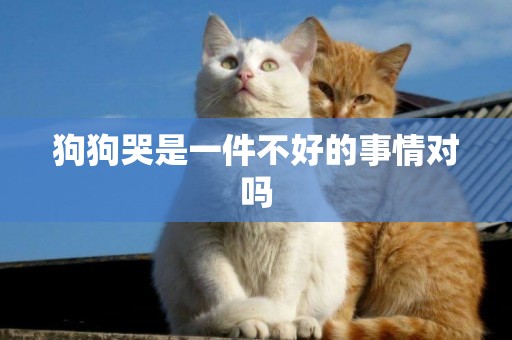 狗狗哭是一件不好的事情對嗎