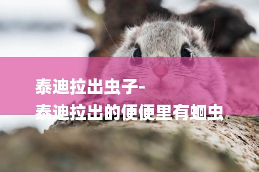泰迪拉出蟲子-
泰迪拉出的便便里有蛔蟲