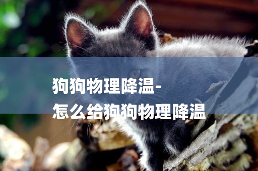 狗狗物理降溫-
怎么給狗狗物理降溫