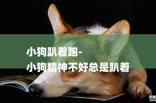小狗趴著跑-
小狗精神不好總是趴著