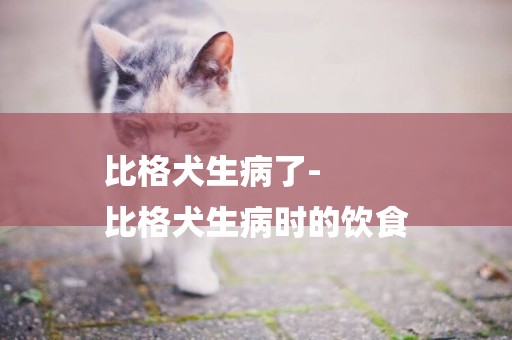比格犬生病了-
比格犬生病時的飲食