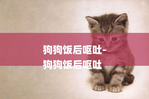 狗狗飯后嘔吐-
狗狗飯后嘔吐