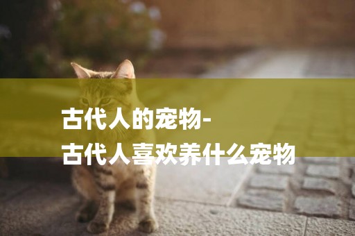 古代人的寵物-
古代人喜歡養什么寵物