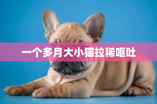 一個多月大小貓拉稀嘔吐