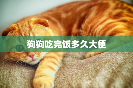 狗狗吃完飯多久大便