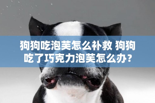 狗狗吃泡芙怎么補救 狗狗吃了巧克力泡芙怎么辦？
