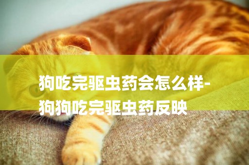 狗吃完驅蟲藥會怎么樣-
狗狗吃完驅蟲藥反映