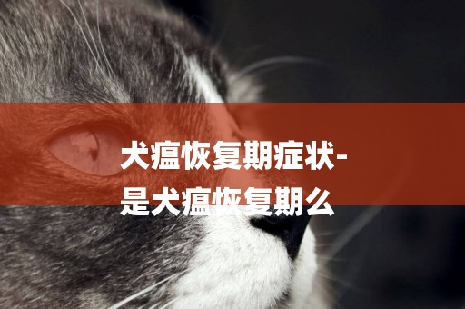犬瘟恢復期癥狀-
是犬瘟恢復期么