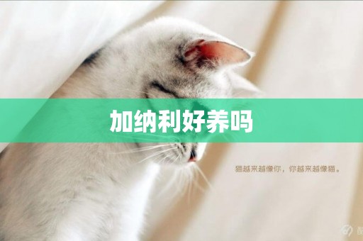 加納利好養嗎