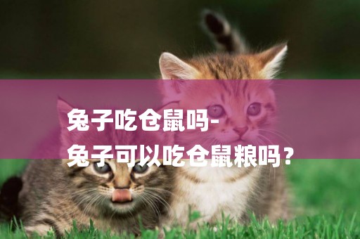 兔子吃倉鼠嗎-
兔子可以吃倉鼠糧嗎？