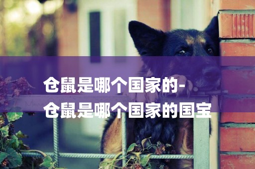倉鼠是哪個國家的-
倉鼠是哪個國家的國寶