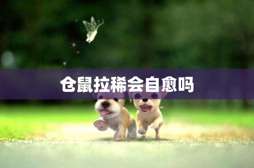 倉鼠拉稀會自愈嗎