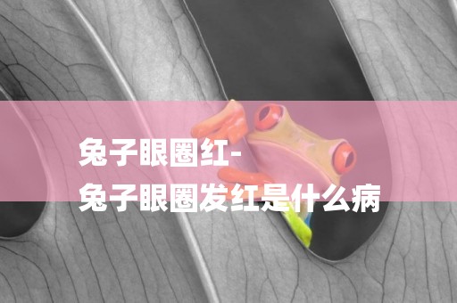 兔子眼圈紅-
兔子眼圈發紅是什么病