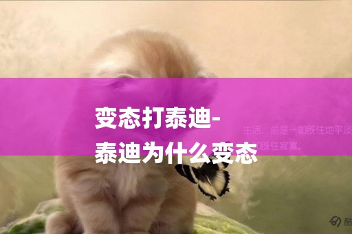 變態打泰迪-
泰迪為什么變態