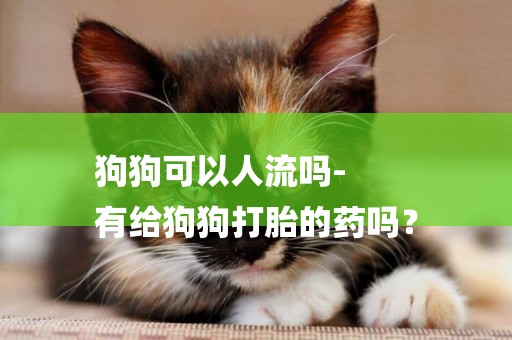 狗狗可以人流嗎-
有給狗狗打胎的藥嗎？