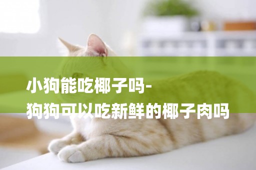 小狗能吃椰子嗎-
狗狗可以吃新鮮的椰子肉嗎