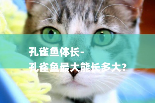 孔雀魚體長-
孔雀魚最大能長多大？
