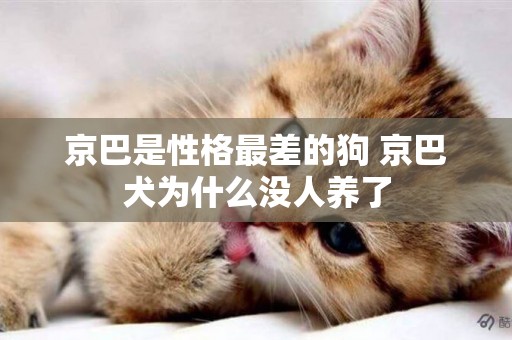 京巴是性格最差的狗 京巴犬為什么沒人養了