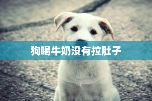 狗喝牛奶沒有拉肚子