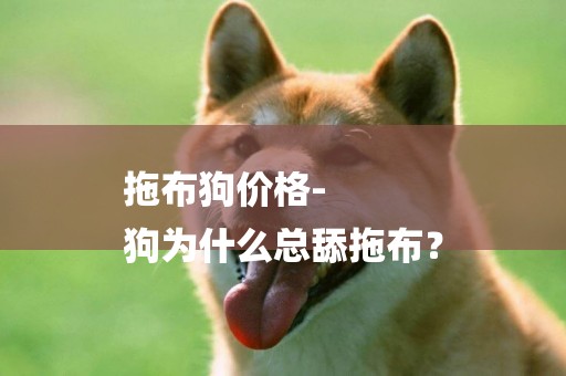 拖布狗價格-
狗為什么總舔拖布？