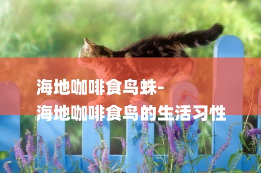 海地咖啡食鳥蛛-
海地咖啡食鳥的生活習性