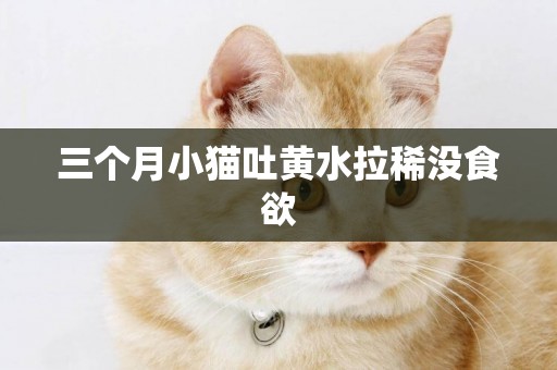 三個月小貓吐黃水拉稀沒食欲