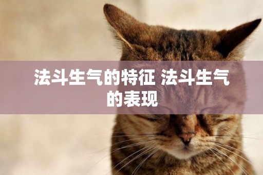 法斗生氣的特征 法斗生氣的表現